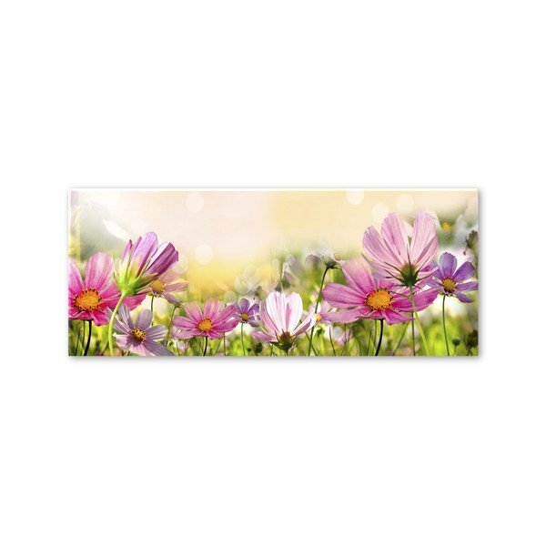 Obraz Styler Glas Flowers Astry, 50 × 125 cm