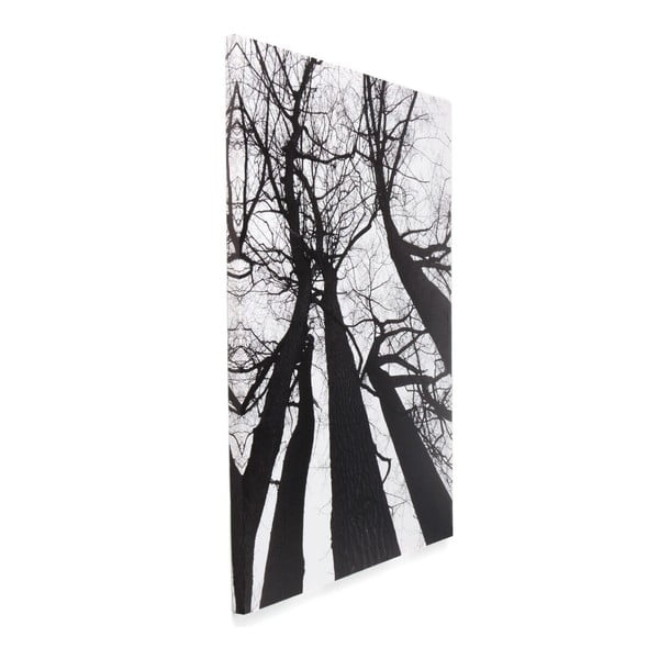 Obraz Tomasucci Winter Tree-image-1