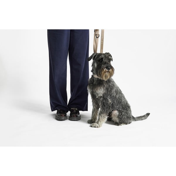 Béžový obojok veľkosť L/XL dĺžka 40 cm Modena Greige L/XL – MiaCara-image-4