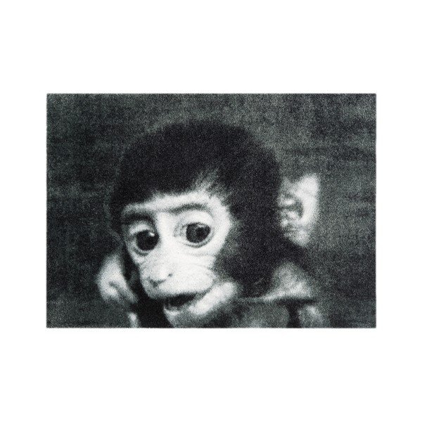 Sivá rohožka Mint Rugs StateMat Monkey, 50 × 75 cm