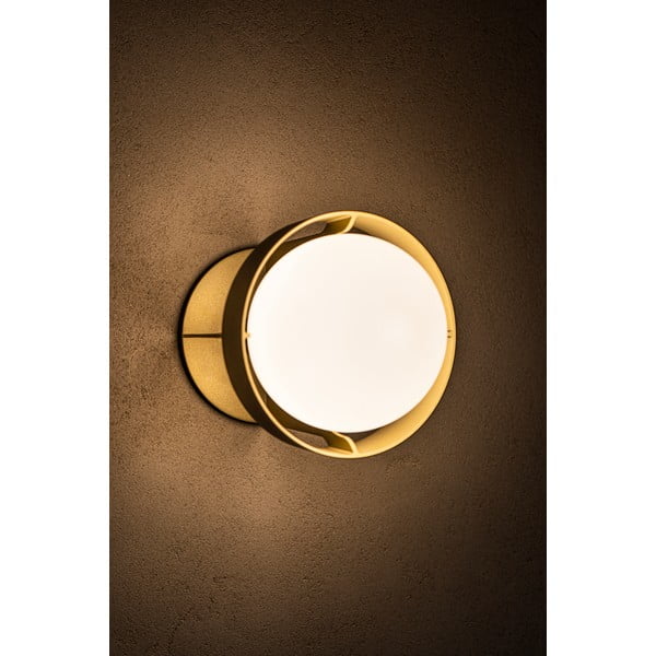 Stmievateľné nástenné svietidlo v zlatej farbe Loop – tala-image-3