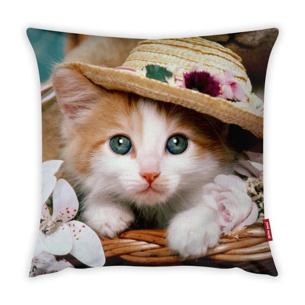 Obliečka na vankúš Vitaus Cute Kitten, 43 × 43 cm