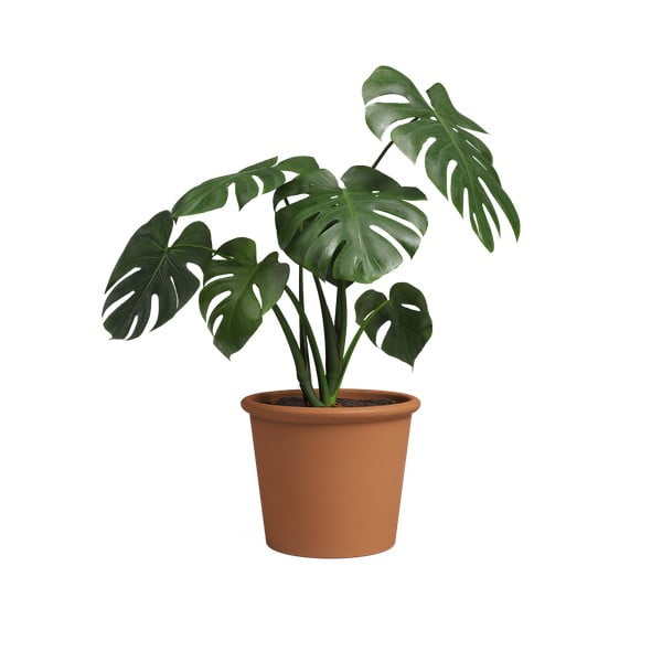 Kvetináč z terakoty ø 39 cm Saramago Cilindro – Artevasi-image-3