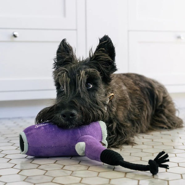 Hračka pre psa Fén – P.L.A.Y.-image-1