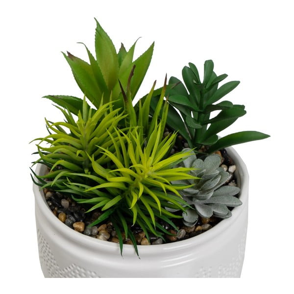 Umelé rastliny v súprave 2 ks (výška 19 cm) Cactus – Casa Selección-image-2