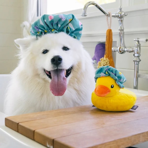 Hračka pre psa Kúpacia čiapka – P.L.A.Y.-image-1