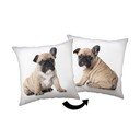 Detský vankúšik 40x40 cm Bulldog – Jerry Fabrics