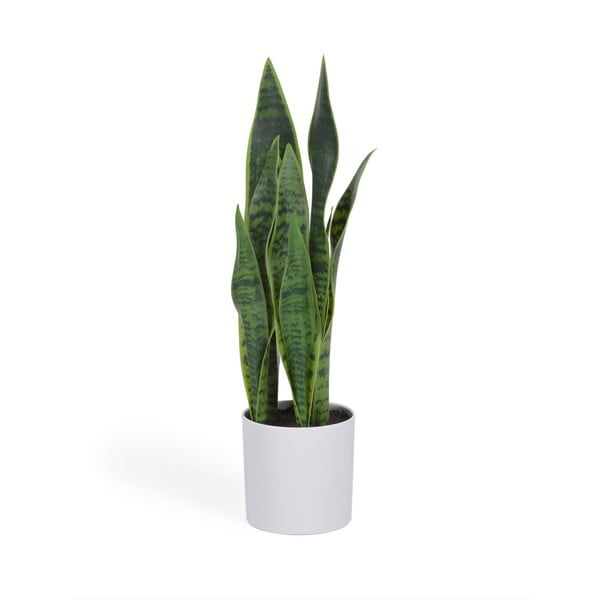 Umelá rastlina (výška 55 cm) Sansevieria – Kave Home