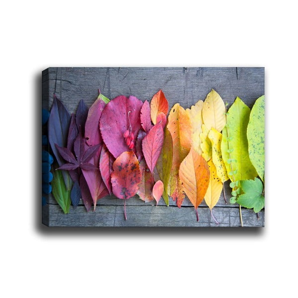 Obraz Tablo Center Gradient Leaves, 70 × 50 cm