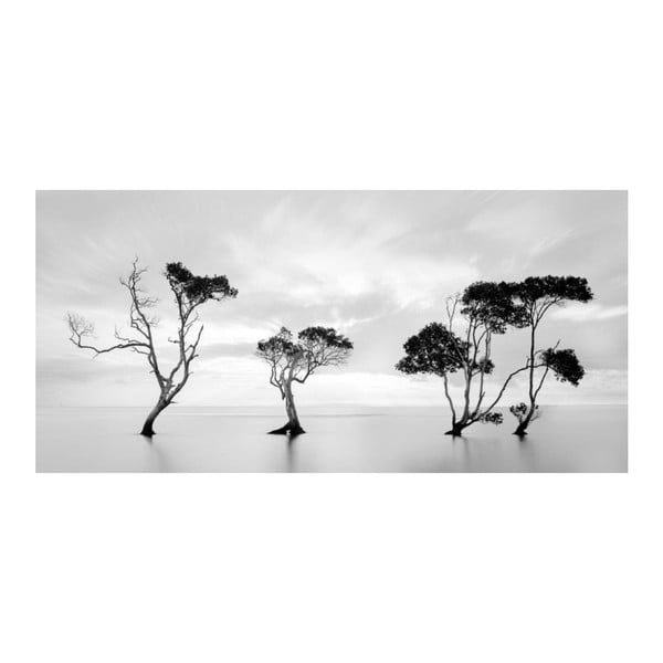 Obraz DecoMalta Black & White, 80 x 60 cm
