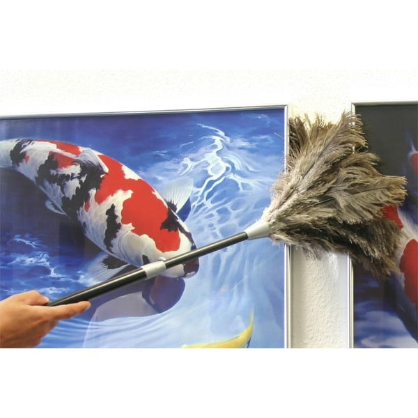 Prachovka z pštrosieho peria - Maximex-image-3