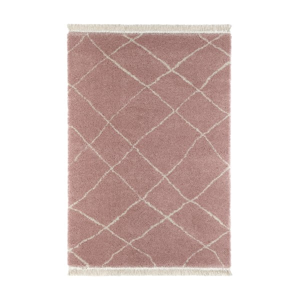 Ružový koberec 80x150 cm Bertha – Hanse Home