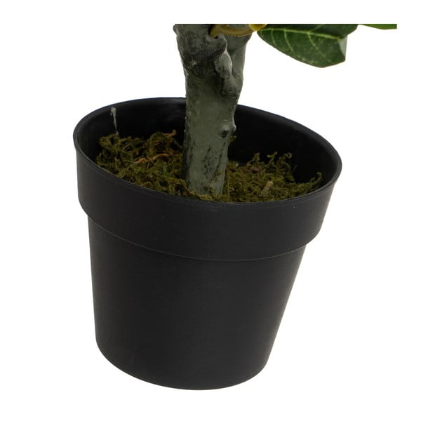 Umelý olivovník - Casa Selección-image-3