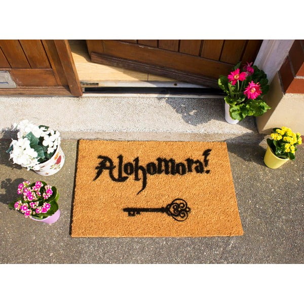 Rohožka z prírodného kokosového vlákna Artsy Doormats Alohomora, 40 x 60 cm-image-1