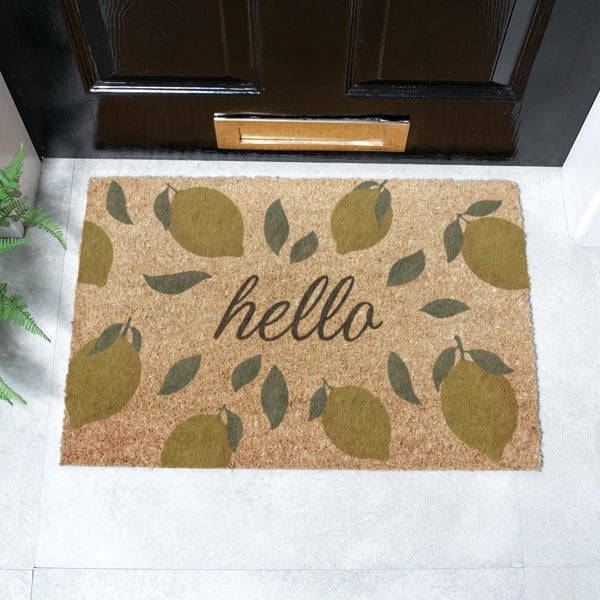 Rohožka z kokosového vlákna 40x60 cm Hello Lemons – Artsy Doormats-image-2