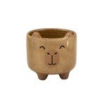 Kameninový ručne maľovaný obal na kvetináč ø 7,5 cm Mojave Capybara – Sass & Belle