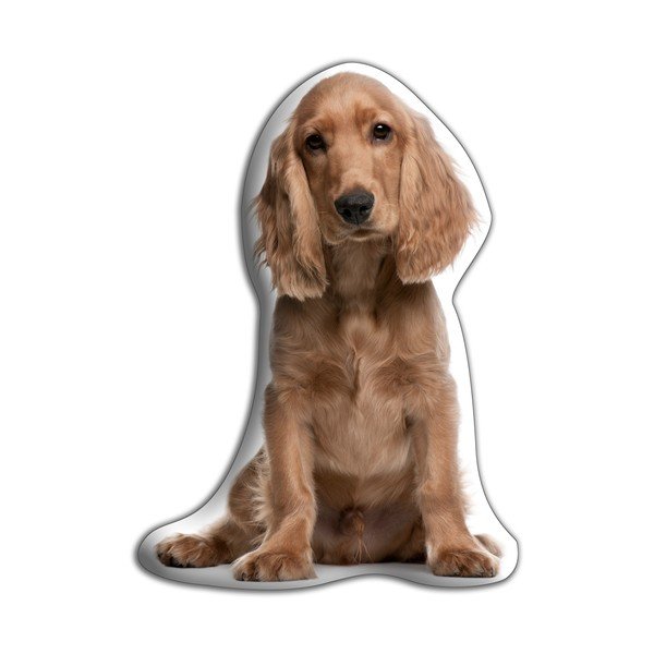 Vankúšik s potlačou Zlatého kokeršpaniela Adorable Cushions