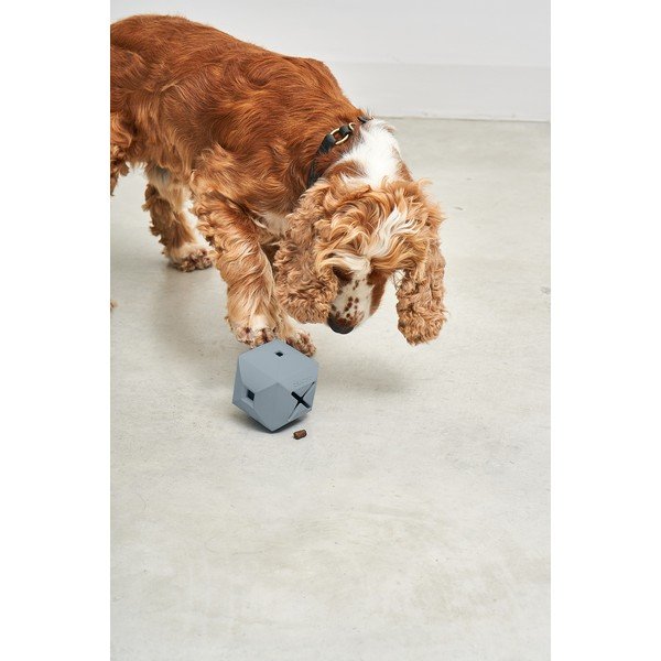 Hračka pre psa Dado Sky – MiaCara-image-3