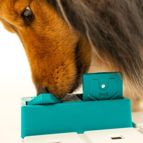Hlavolam pre psov Nai – Pawzler-image-2