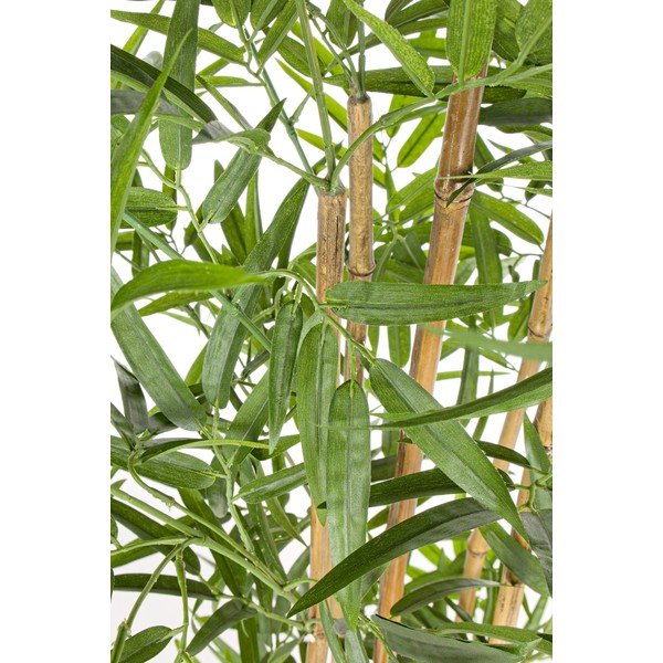 Umelý bambus (výška  155 cm) Bamboo – Bizzotto-image-1
