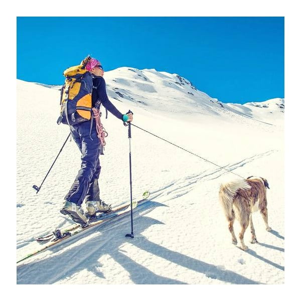 Modrá vôdzka veľkosť M 3 Bungee – Lishinu-image-3