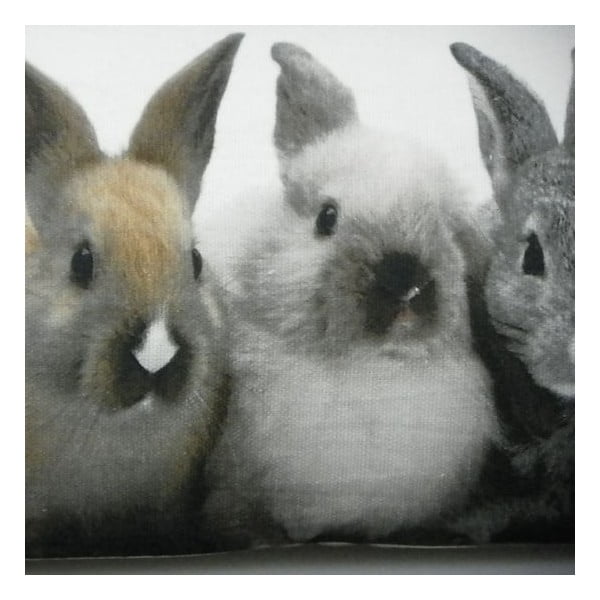 Vankúš Rabbits 20x90 cm-image-1