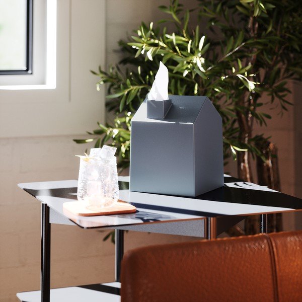 Plastový box na vreckovky Casa – Umbra-image-1