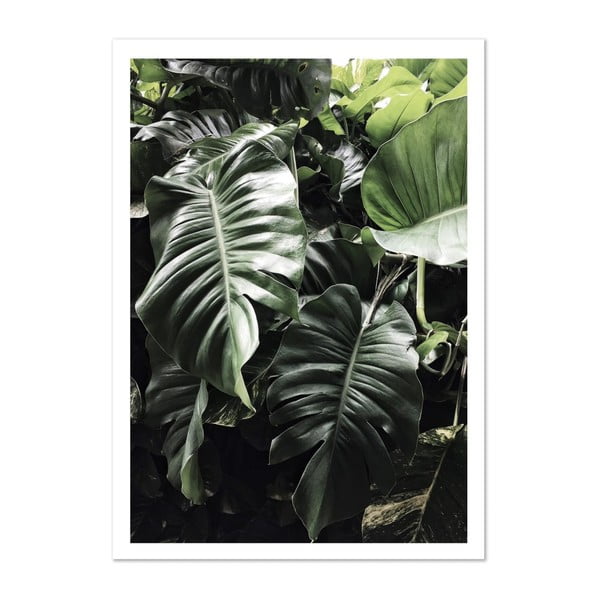 Plagát HF Living Botanic Greenery, 50 × 70 cm