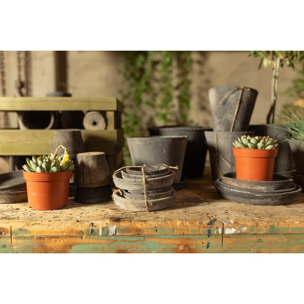 Set 3 misiek pod kvetináč z terakoty Esschert Design-image-4