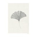 Plagát 50x70 cm Ginkgo Leaf – Ana Frois – The Poster Club