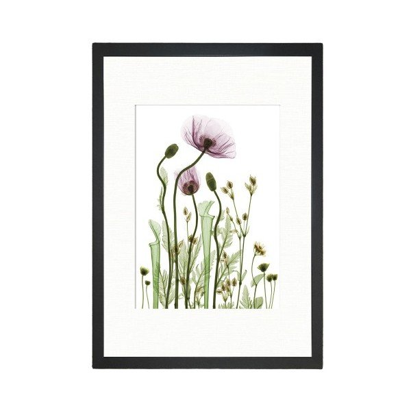 Obraz Tablo Center Wild Plants, 24 × 29 cm