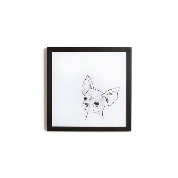 Obraz v ráme Graham & Brown Chihuahua, 40 x 40 cm