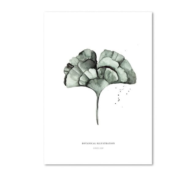 Plagát Leo La Douce Ginko Leaf, 21 × 29,7 cm