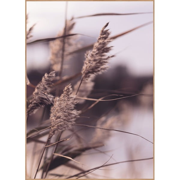 Obraz 50x70 cm Mellow Grasses 3 – Malerifabrikken