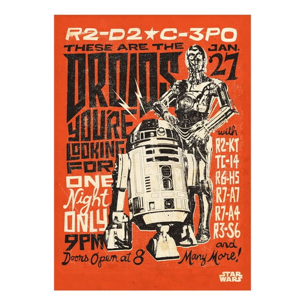 Nástenná ceduľa PosterPlate Star Wars Legends - Droids