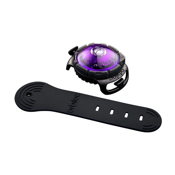 LED svetlo na obojok Purple – Orbiloc-image-1