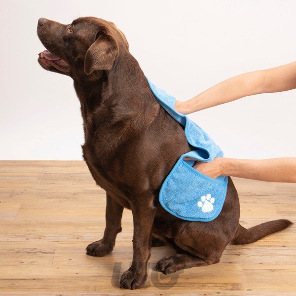 Uterák pre domáceho miláčika – Love Story-image-1