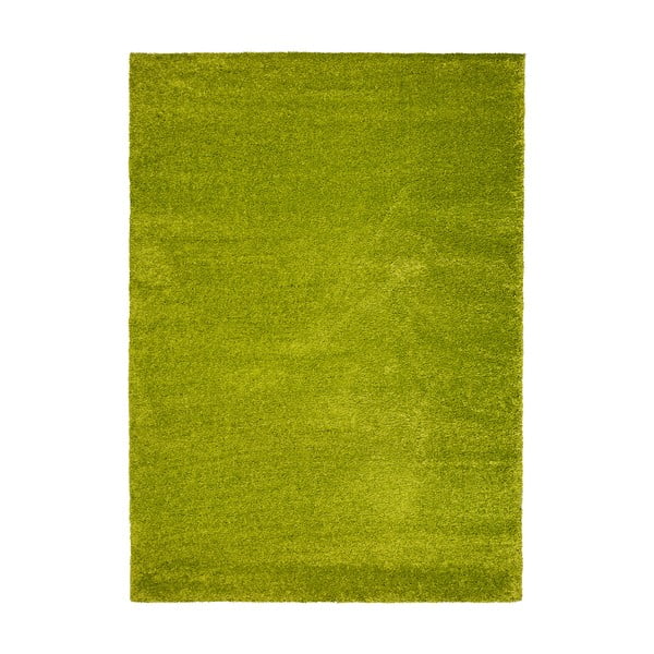 Zelený koberec vhodný aj do exteriéru Universal Catay, 160 × 230 cm