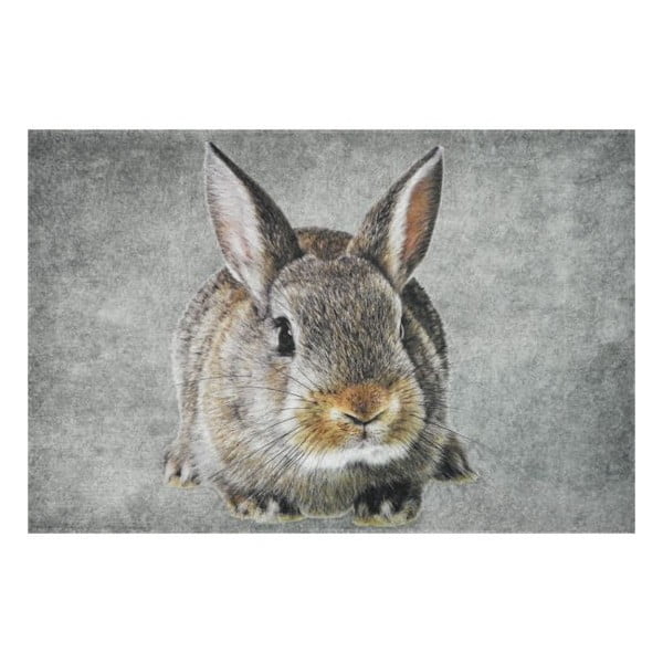 Predložka Brown Rabbit 75x50 cm