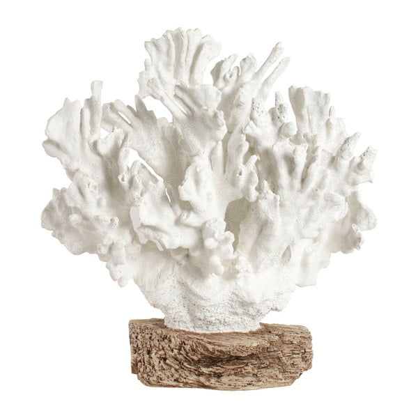 Dekorácia Côté Table Coral