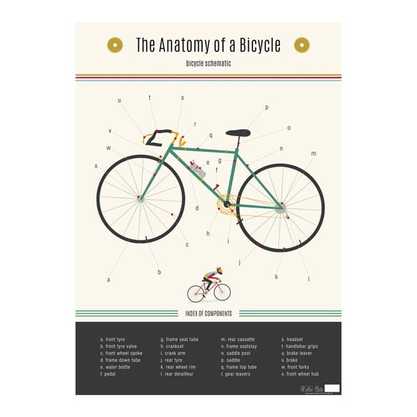 Nástenný plagát Rex London Anatomy Of a Bicycle
