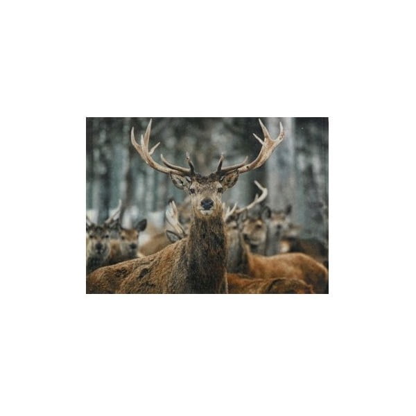 Prestieranie Winter Deer 40x30 cm