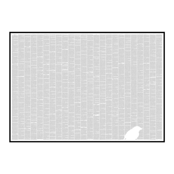 Knižný plagát O pôvode druhov, 118,9x84,1 cm