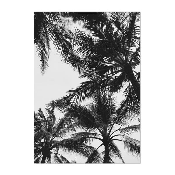 Plagát HF Living Botanic Palms, 21 × 30 cm