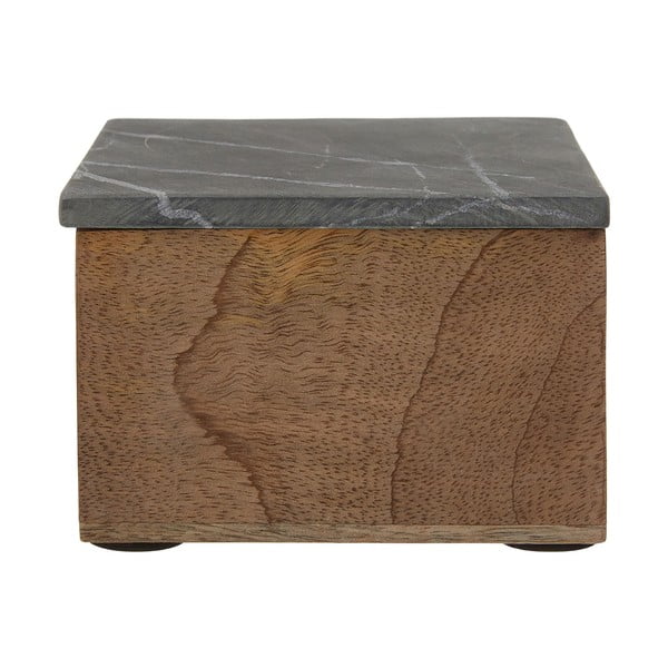 Menší úložný box z mangového dreva Premier Housewares