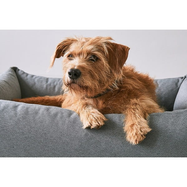 Hnedý pelech pre psa 93x120 cm Mare Kelp L – MiaCara-image-2