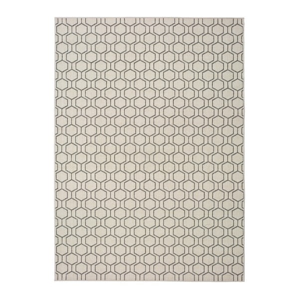 Sivobéžový vonkajší koberec Universal Clhoe, 160 x 230 cm