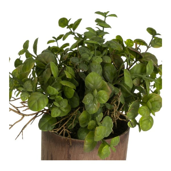 Umelé rastliny v súprave 2 ks (výška 22 cm) – Casa Selección-image-1