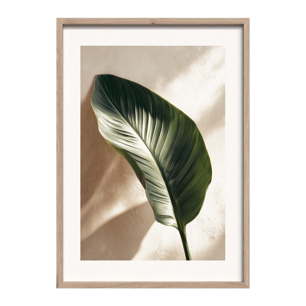 E-shop Tlačený obraz s rámom 50x70 cm Strelizia Leaf – Styler