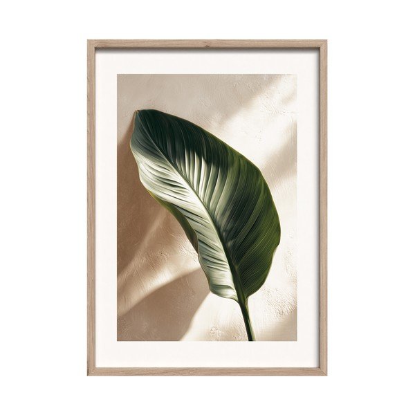Tlačený obraz s rámom 50x70 cm Strelizia Leaf – Styler